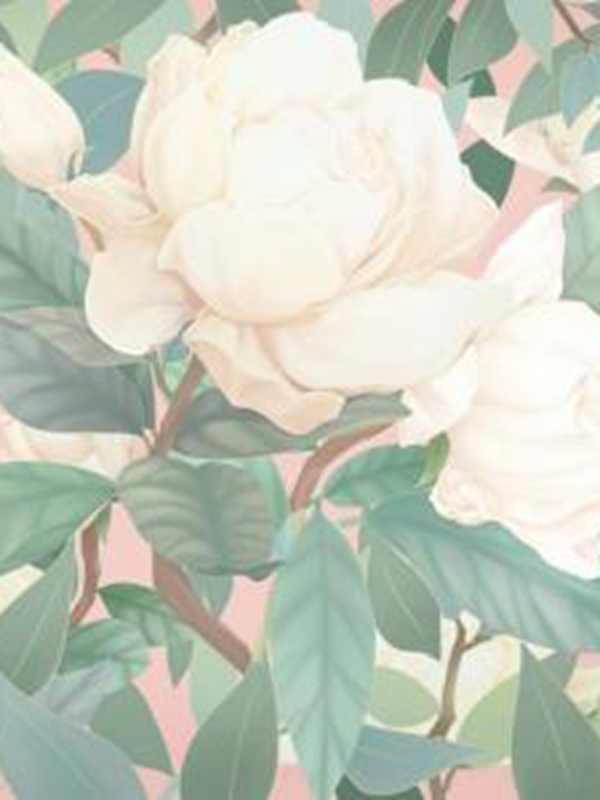 梦里阑珊工作室